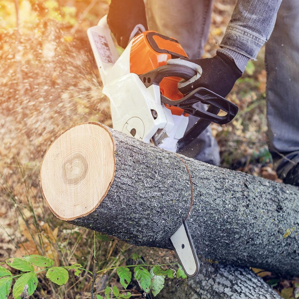 Bûcheron coupe un tronc d'arbre avec une tronçonneuse. Sciure et copeaux volent sous le soleil. Travail forestier de coupe de bois.