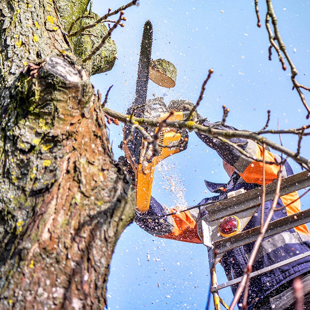 Arboriste élaguant un arbre avec une tronçonneuse, de la sciure s'échappant. Vêtements de sécurité orange et bleu sous ciel clair.