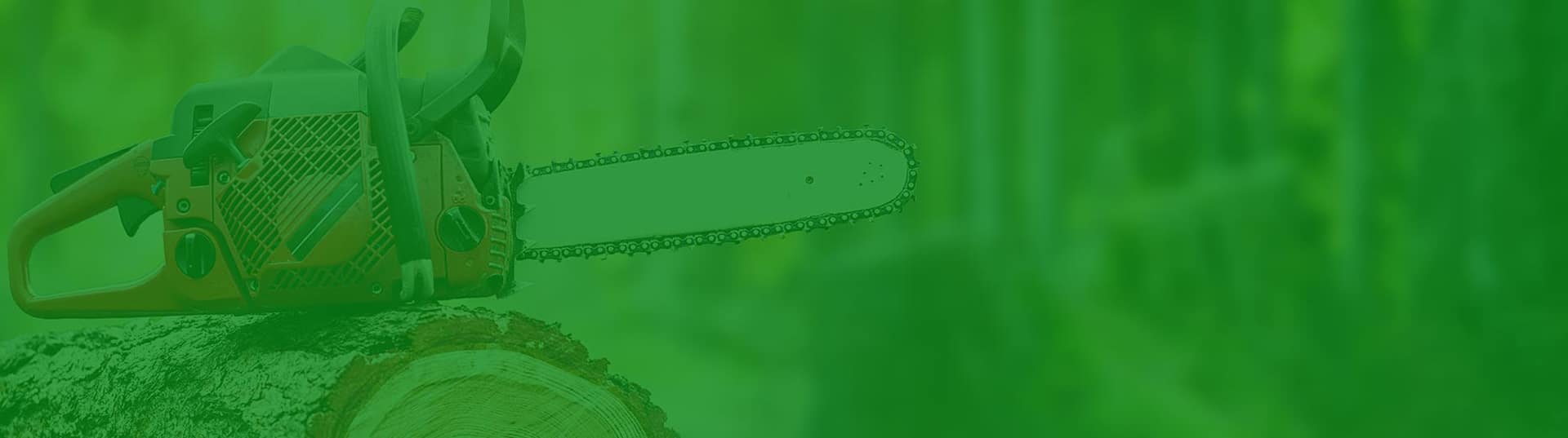 Tronçonneuse orange et noire posée sur une bûche de bois coupée, dans un environnement forestier vert et flou.