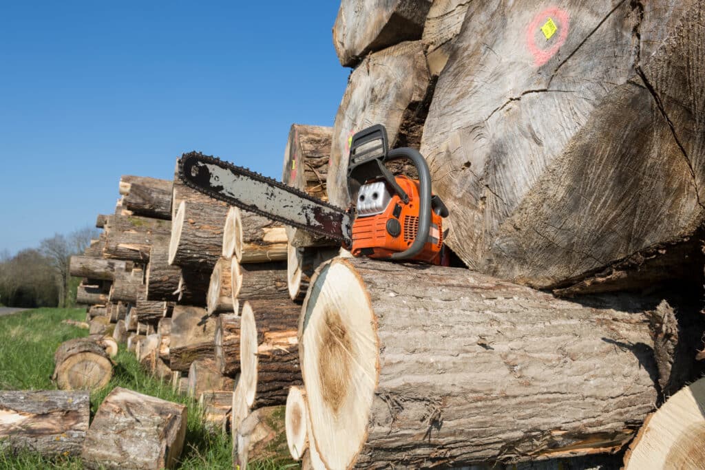 Bûches de bois coupées et tronçonneuse orange : coupe forestière Tronçonneuse orange posée sur une pile de billes de bois coupées, avec des bûches marquées (ex. 52898) sous un ciel bleu.