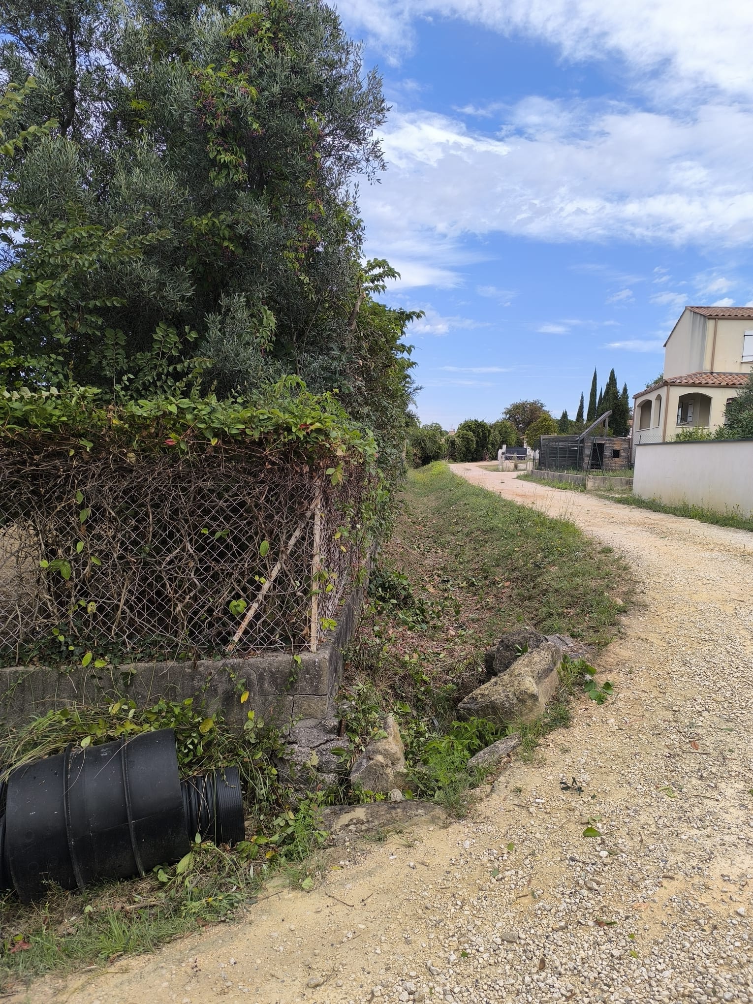 Chemin de terre bordé d'un mur en béton et d'une clôture grillagée envahie par la vigne, près d'un gros tuyau noir et d'une maison claire sous un ciel bleu nuageux.