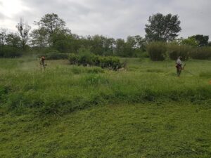 Deux ouvriers en équipement de protection débroussaillent un champ d'herbe haute sous un ciel gris, la zone coupée est visible au premier plan.