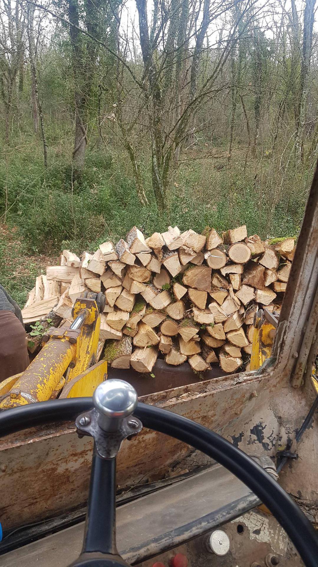 Depuis un vieux tracteur rouillé, vue sur une haute pile de bûches de bois de chauffage fraîchement fendues devant une forêt dense.