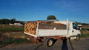 Camion plateau chargé de bois de chauffage. Publicité pour travaux forestiers (élagage, abattage, vente de bûches) sur la région d'Alès.