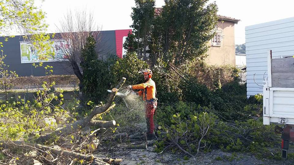 Élagueur professionnel en tenue orange coupant un gros tronc d'arbre à la tronçonneuse. Découpe de bois après abattage en extérieur.