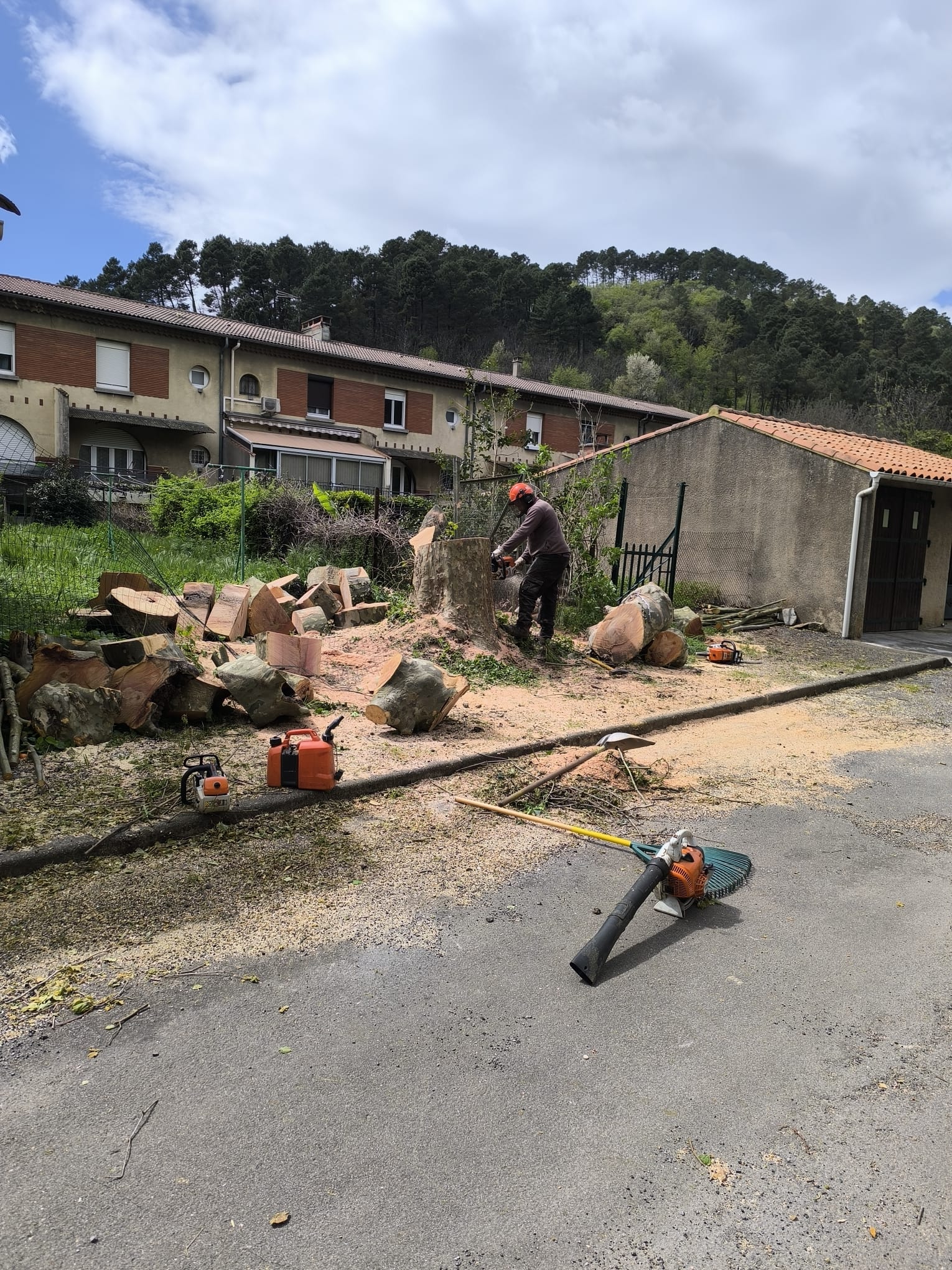 Élagueur découpant une souche d'arbre à la tronçonneuse, entouré de bûches et d'outils professionnels de jardinage.