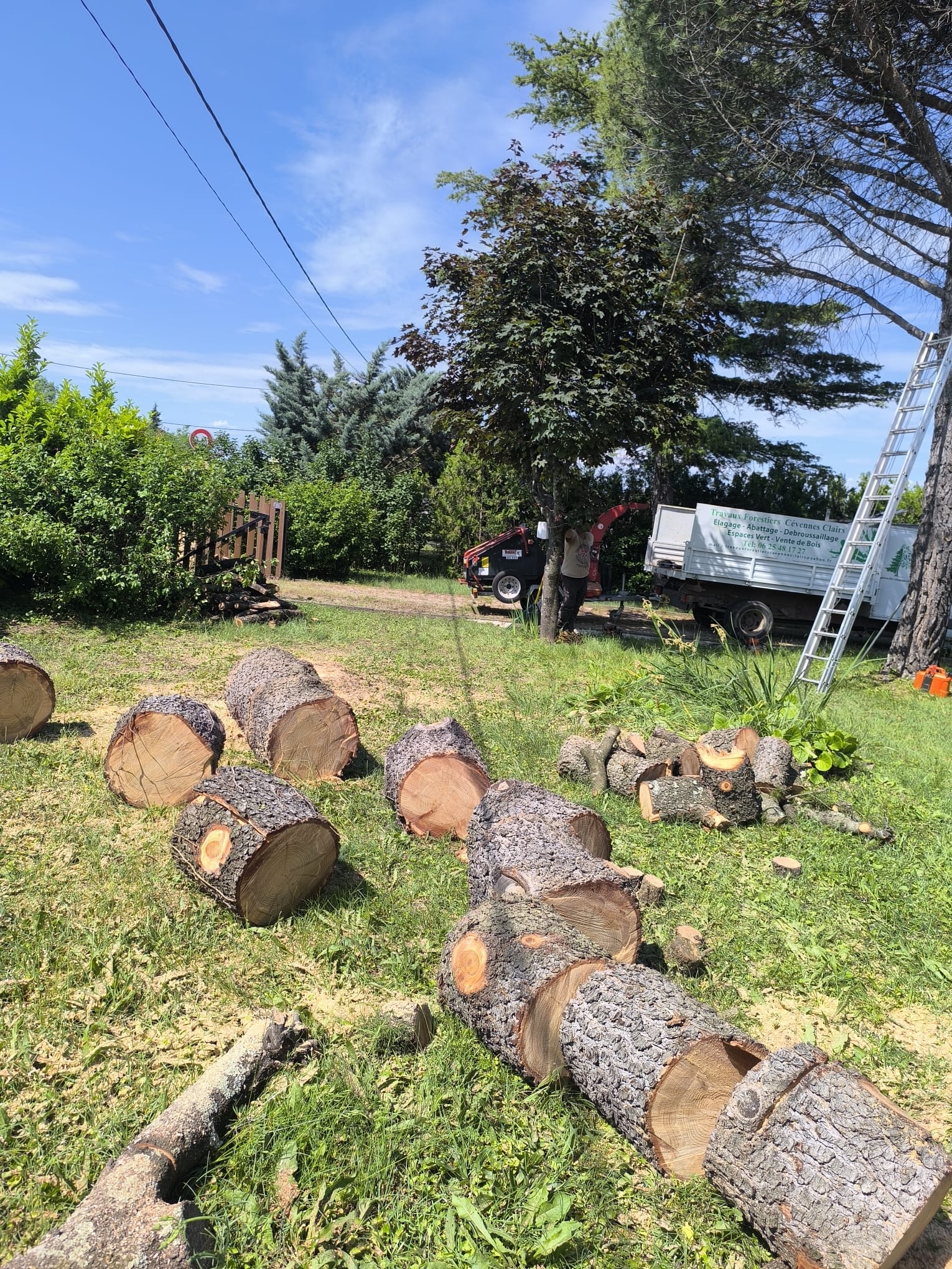 Bûches de pin au sol et camion Travaux Forestiers Cévennes Clairs lors d'un abattage d'arbre dans un jardin.