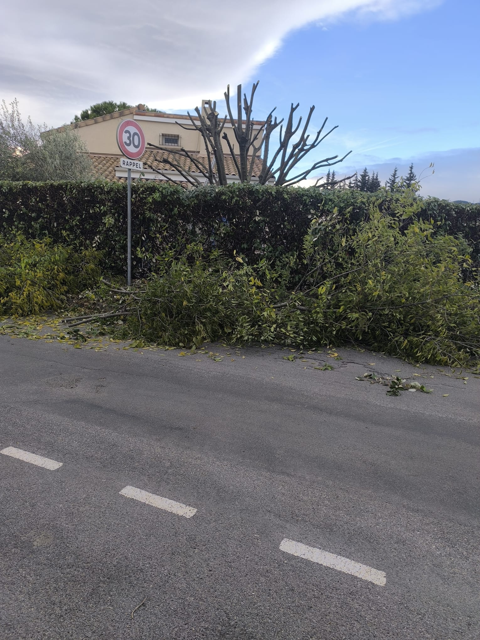 Branches coupées sur le bas-côté d'une route avec un panneau 30 Rappel devant une haie dense et une maison.