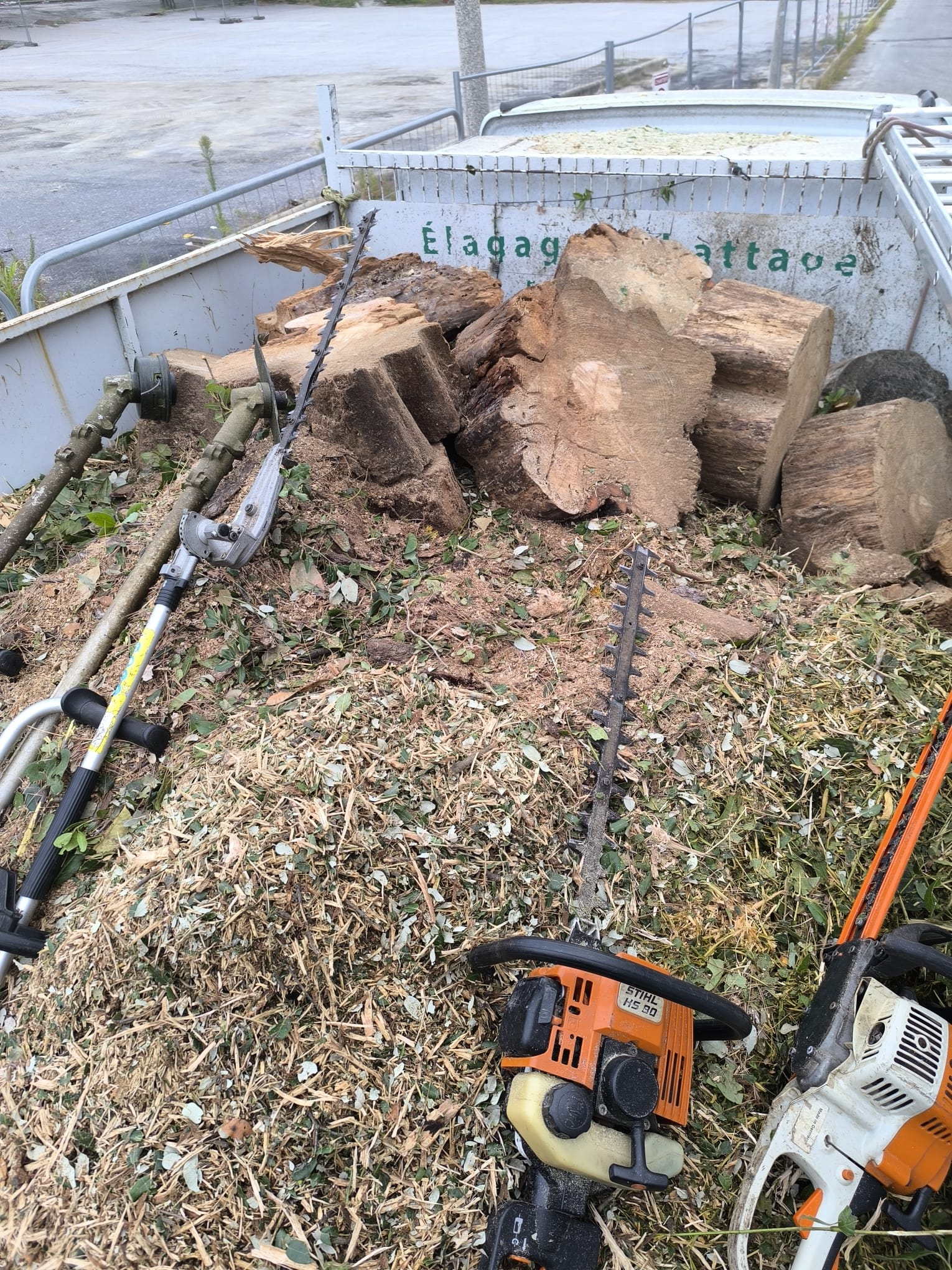 Équipement professionnel d'élagage, taille-haie Stihl et billes de bois dans une benne marquée Élagage Abattage.